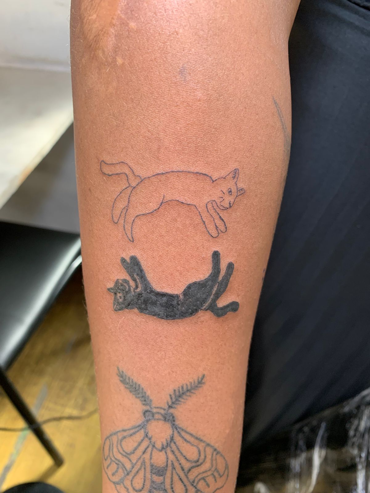 img_tattoo_cats